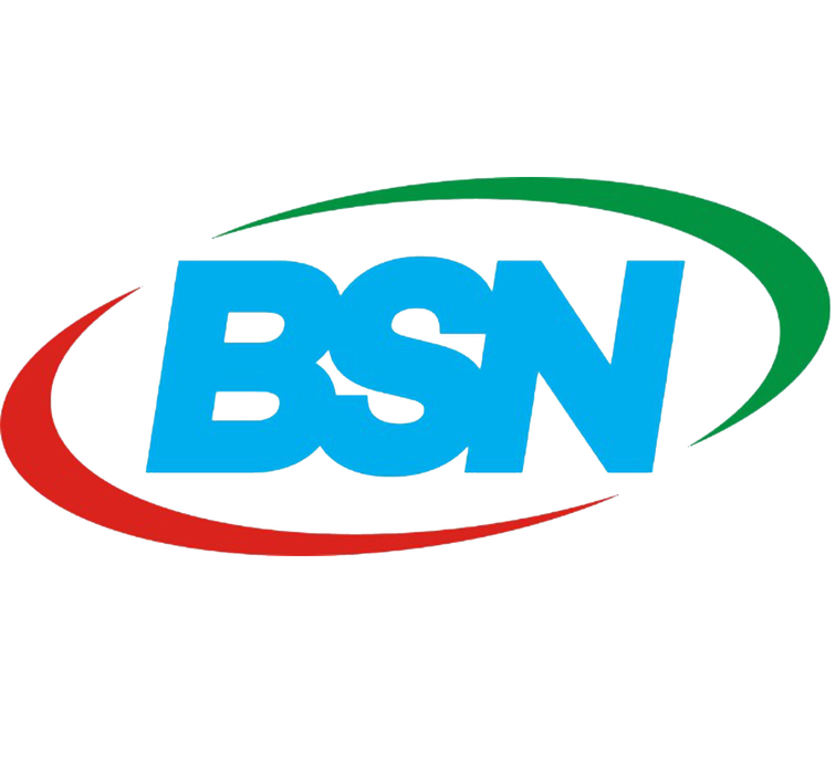 Logo Partner